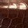 Brown Croco Swatch